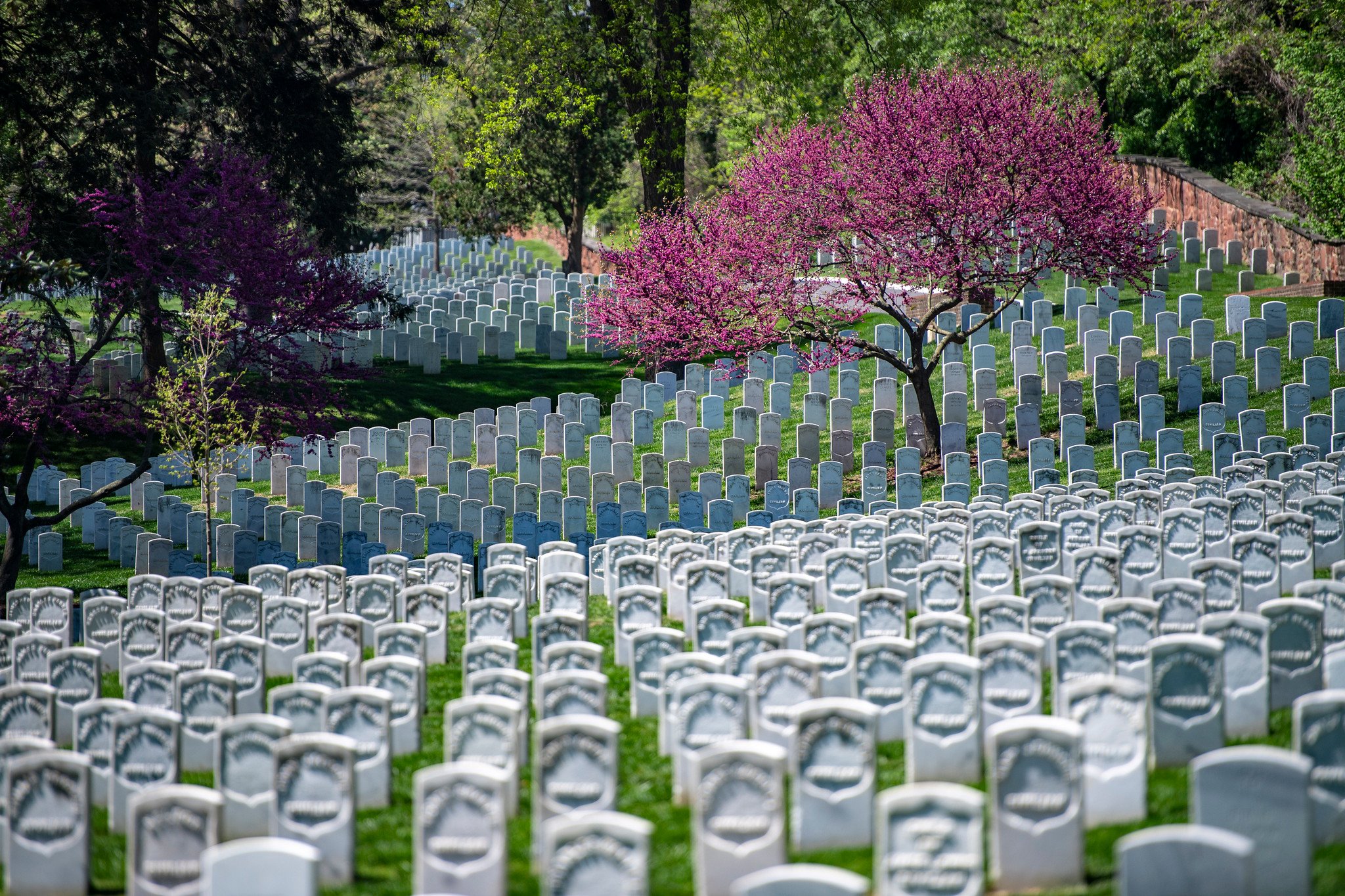 A photo of Arlington National Cemetery's Section 27.