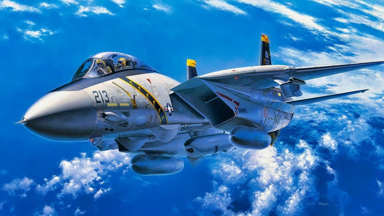 F-14 Tomcat