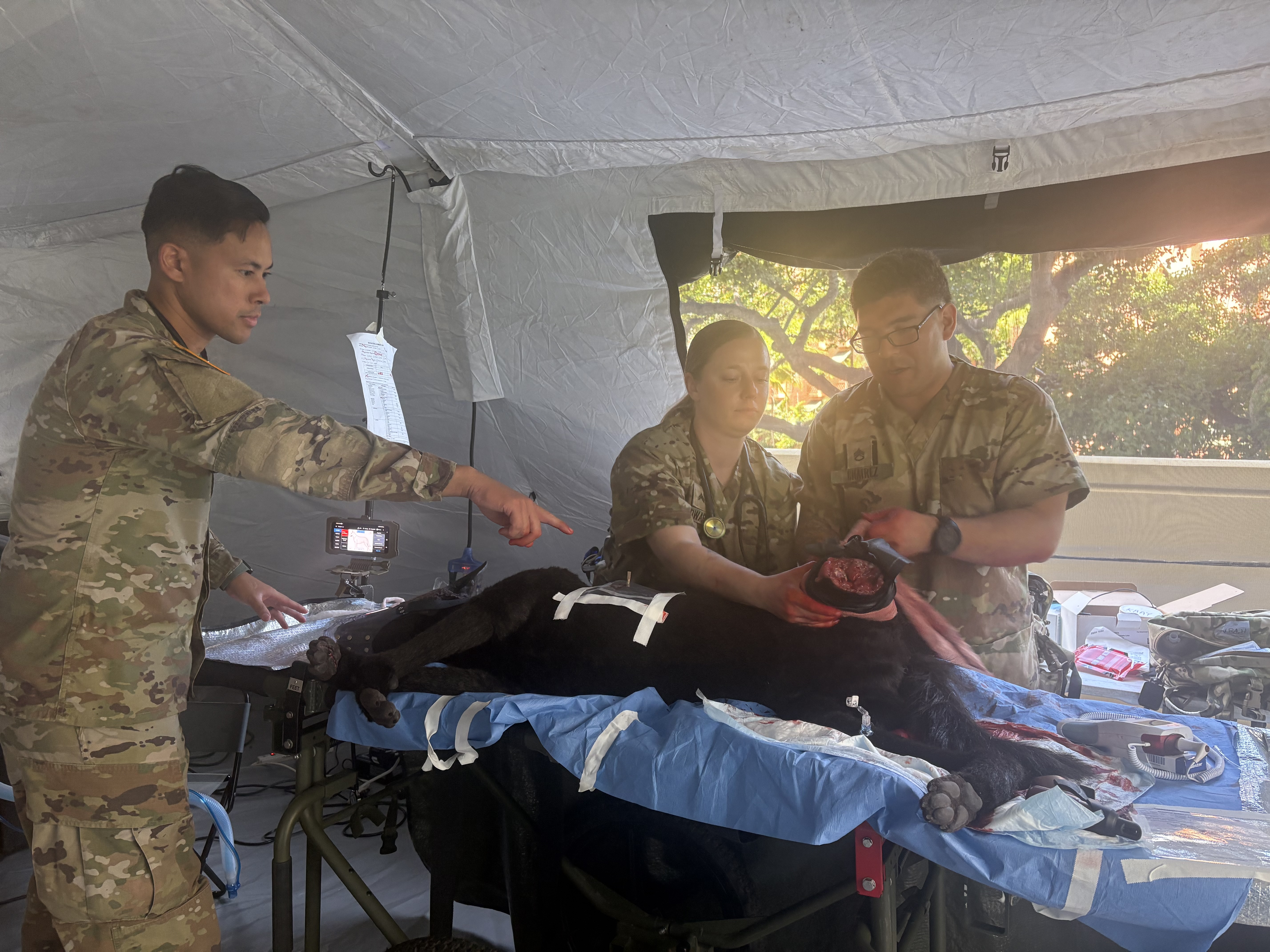 Veterinarians demonstrate medical care on a high-fidelity canine model at LANPAC on May 13, 2026.
