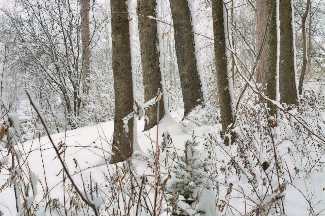 Snow in Upstate New York