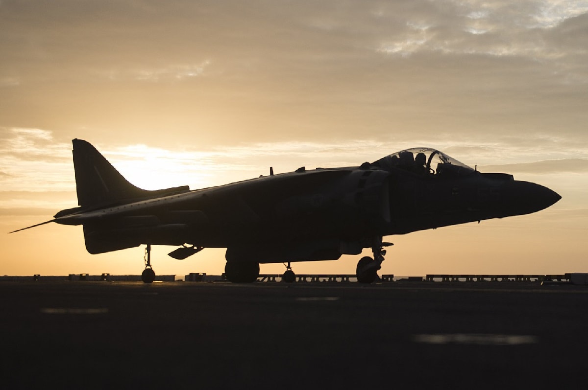 Harrier. Image: Creative Commons.