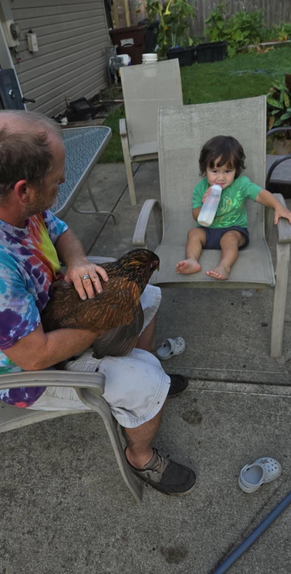 Todd Combs and his children, including Arkyn, have bonded over the hens. (Photo courtesy of Todd Combs)