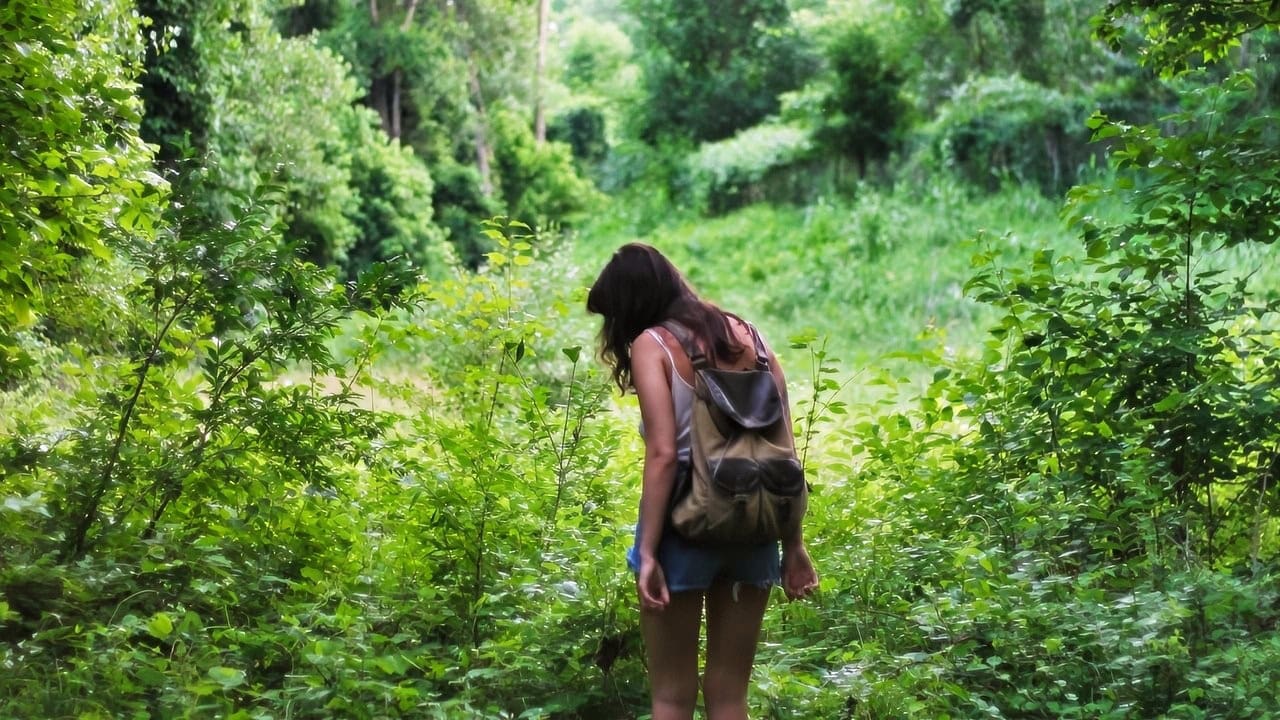 Walking in the Forest Creative Commons