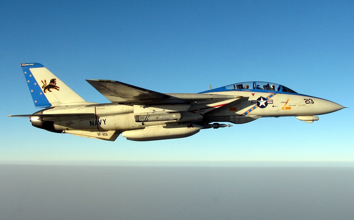 F-14 猫