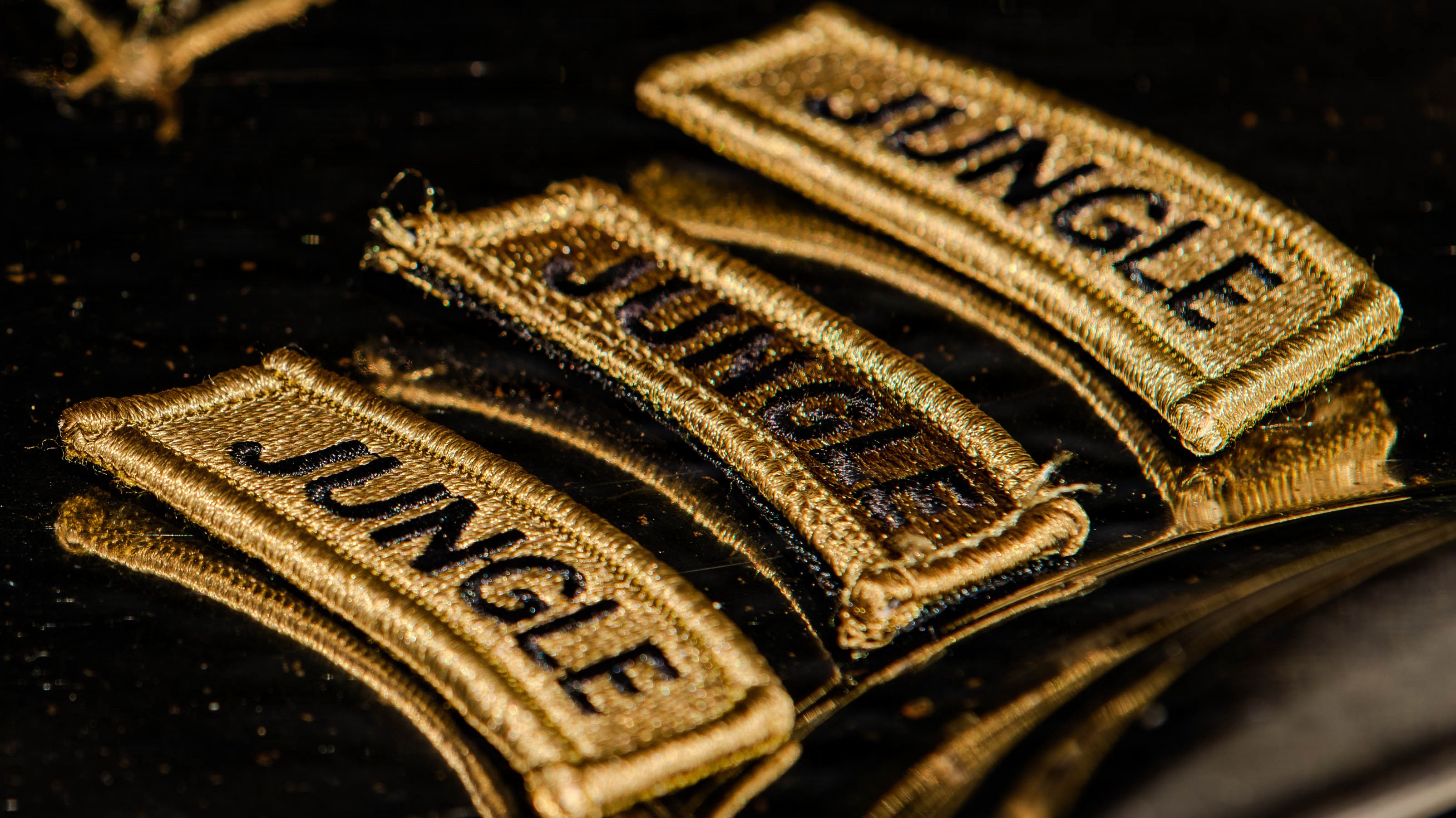 Graduates of Jungle Operations Training Course-Panama receive jungle tabs.