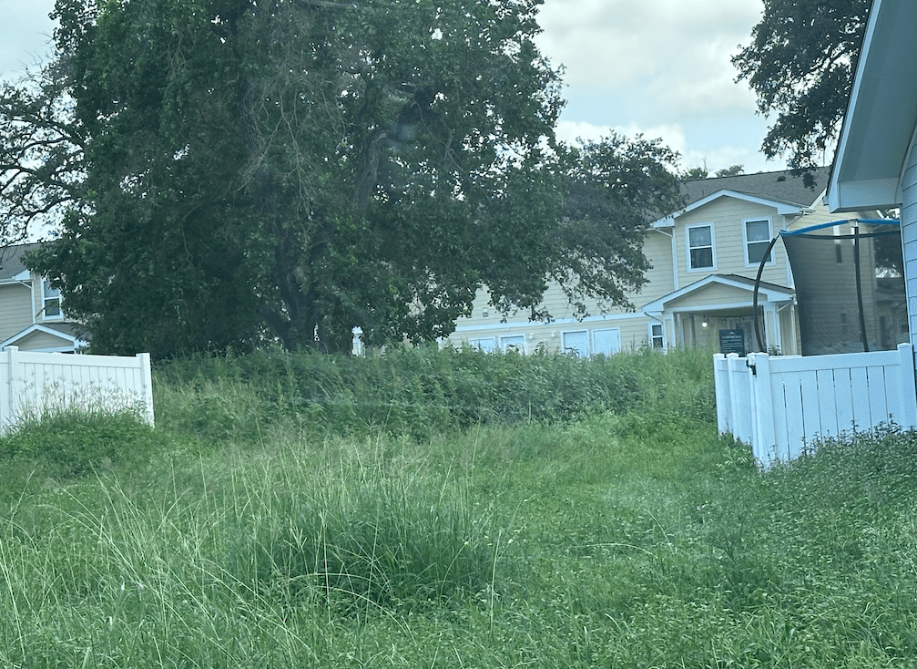 Residents in the area said that the overgrowth pictured above covers a play area that cannot be seen under the weeds.