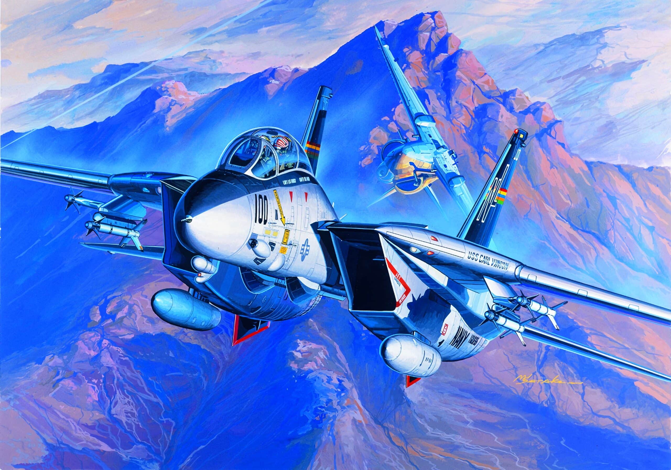 F-14 Fighter
