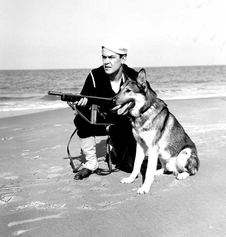 A United States Coast Guardsman with working dog and Reising SMG during WWII.